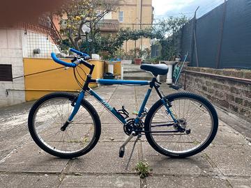 Bicicletta Atala uomo
