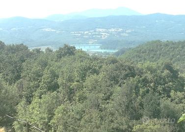 Scarperia colonica mq 210 servizi terreno 3 ha