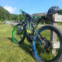 Specialized levo turbo