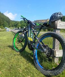 Specialized levo turbo