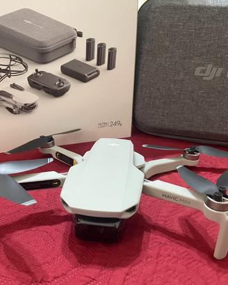 Dji Mini  versione 1, accessori inclusi