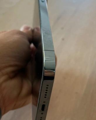 iphone pro max 13