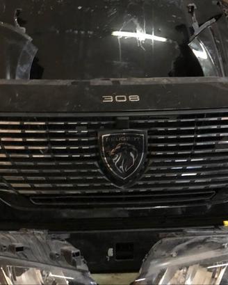 MUSATA PEUGEOT 308