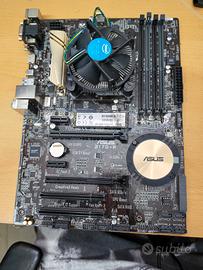 scheda madre Asus gaming 