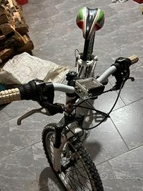 Mountain bike legnano
