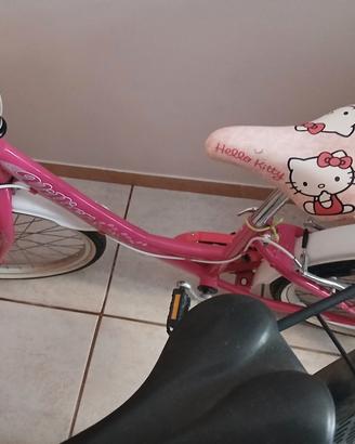 entrambe le bici 