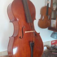 violoncello