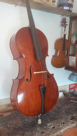 violoncello