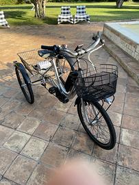 Bici a 3 ruote elettrica