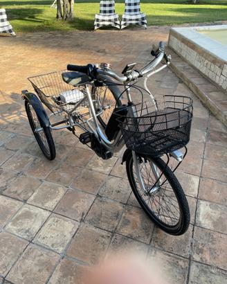 Bici a 3 ruote elettrica