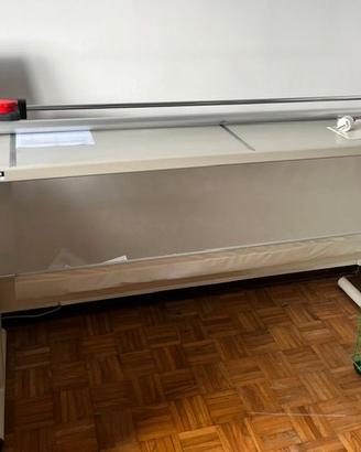 taglierina professionale