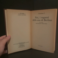 Christiane F. -Noi, i ragazzi dello zoo di Berlino