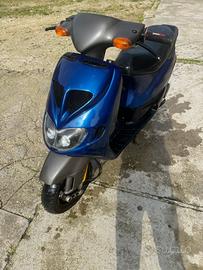 zip sp 1999 50cc