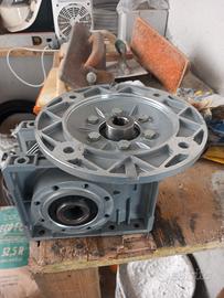 riduttore chiaravalli 