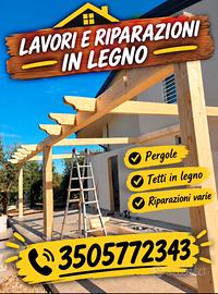 Tetti pergolati e riparazioni varie