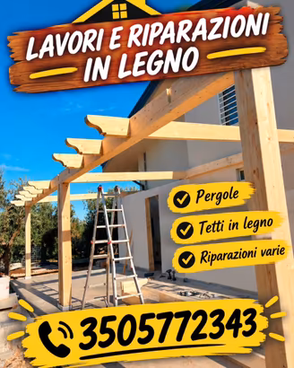 Tetti pergolati e riparazioni varie