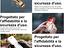 Immagine 6