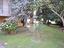 Immagine 29