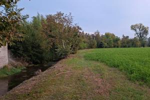 Terreno agricolo