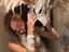 Immagine 4
