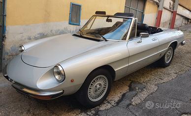 ALFA ROMEO Spider Duetto 2000 Veloce 1981