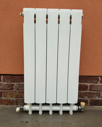Termosifone in alluminio 5 elementi com valvole