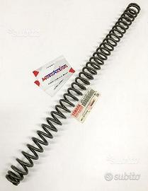 Molla Forcella Yamaha TDM 850 96/2001