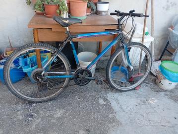 Mountain bike 