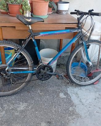 Mountain bike 