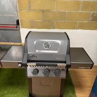 Napoleon freestyle 365