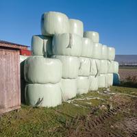 rotoballe di erba medica insilata