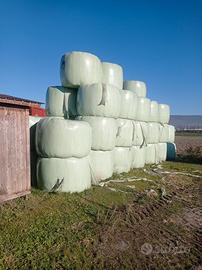 rotoballe di erba medica insilata