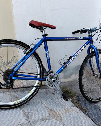 bicicletta 