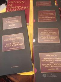 Collezione FH Netter Anatomia e clinica. 10 vol.