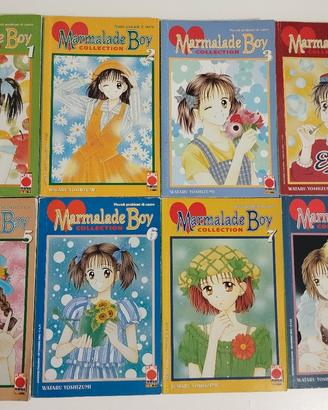 Piccoli problemi di cuore - Manga Completo 