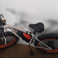  E-Bike Rich bit 