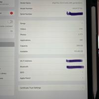 Ipad Pro 12.9” 4a gen 256gb wifi