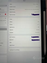 Ipad Pro 12.9” 4a gen 256gb wifi