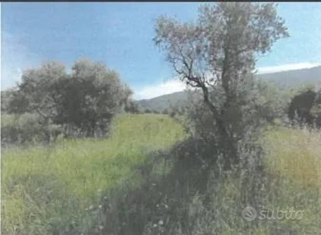 Immobile in asta di 9061 m² a Vaiano - Vista 3