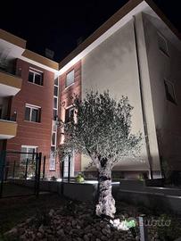 Appartamento di 129 m² con 3 locali a Vignate