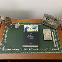 Il domatore di leoni, Camilla Läckberg