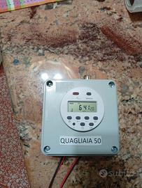 quagliaia 50 