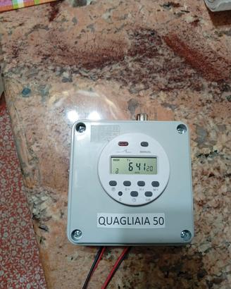 quagliaia 50 