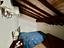 Immagine 17