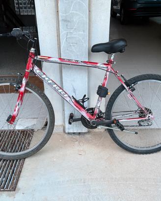 Bici MTB