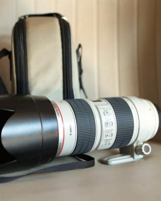 Canon EF 70-200mm f/2.8 L IS USM