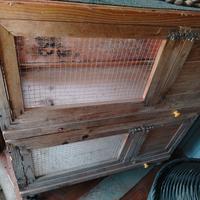 gabbia x conigli