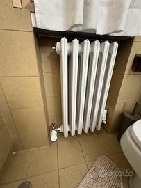 N. 1  Radiatore in ghisa.