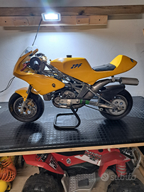 Minimoto zpf polini