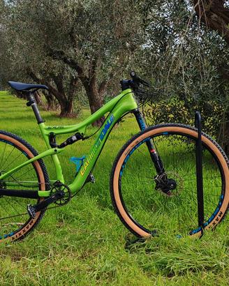 cannondale 